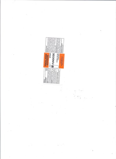 Label (Pinceladas Goyescas Spray 1 Oz. Label 001)